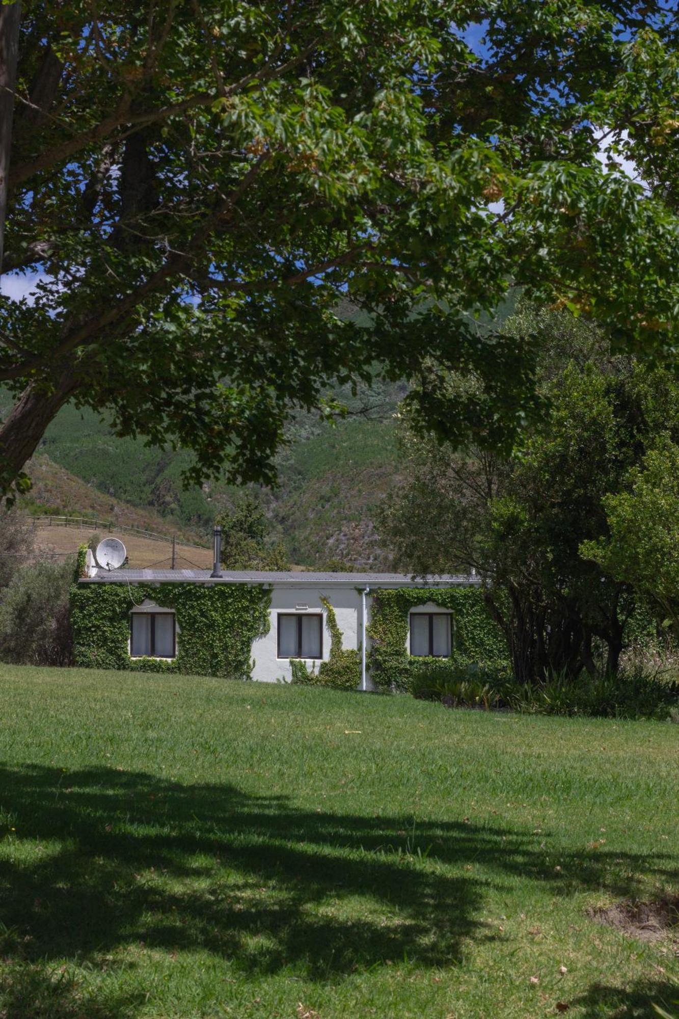 Three Streams Cottage Franschhoek Eksteriør bilde